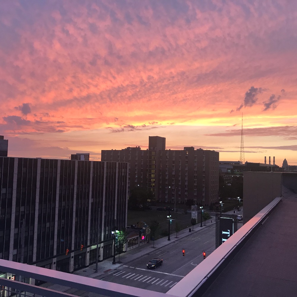 Meet your Posher, Wheat and weeds